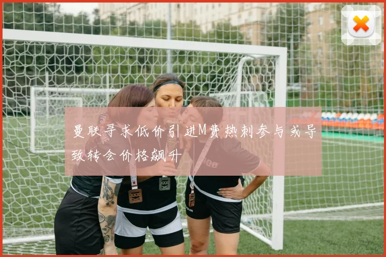 曼联寻求低价引进M费热刺参与或导致转会价格飙升
