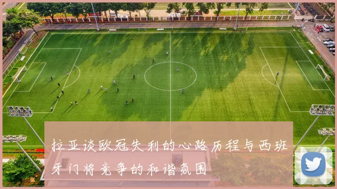 拉亚谈欧冠失利的心路历程与西班牙门将竞争的和谐氛围